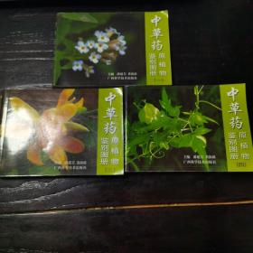 中草药原植物鉴别图册（一二三四）