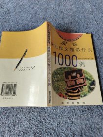 最新学生作文精彩开头1000例