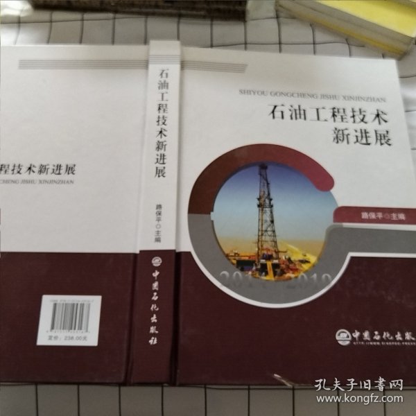 石油工程技术新进展2014-2019（有破损）