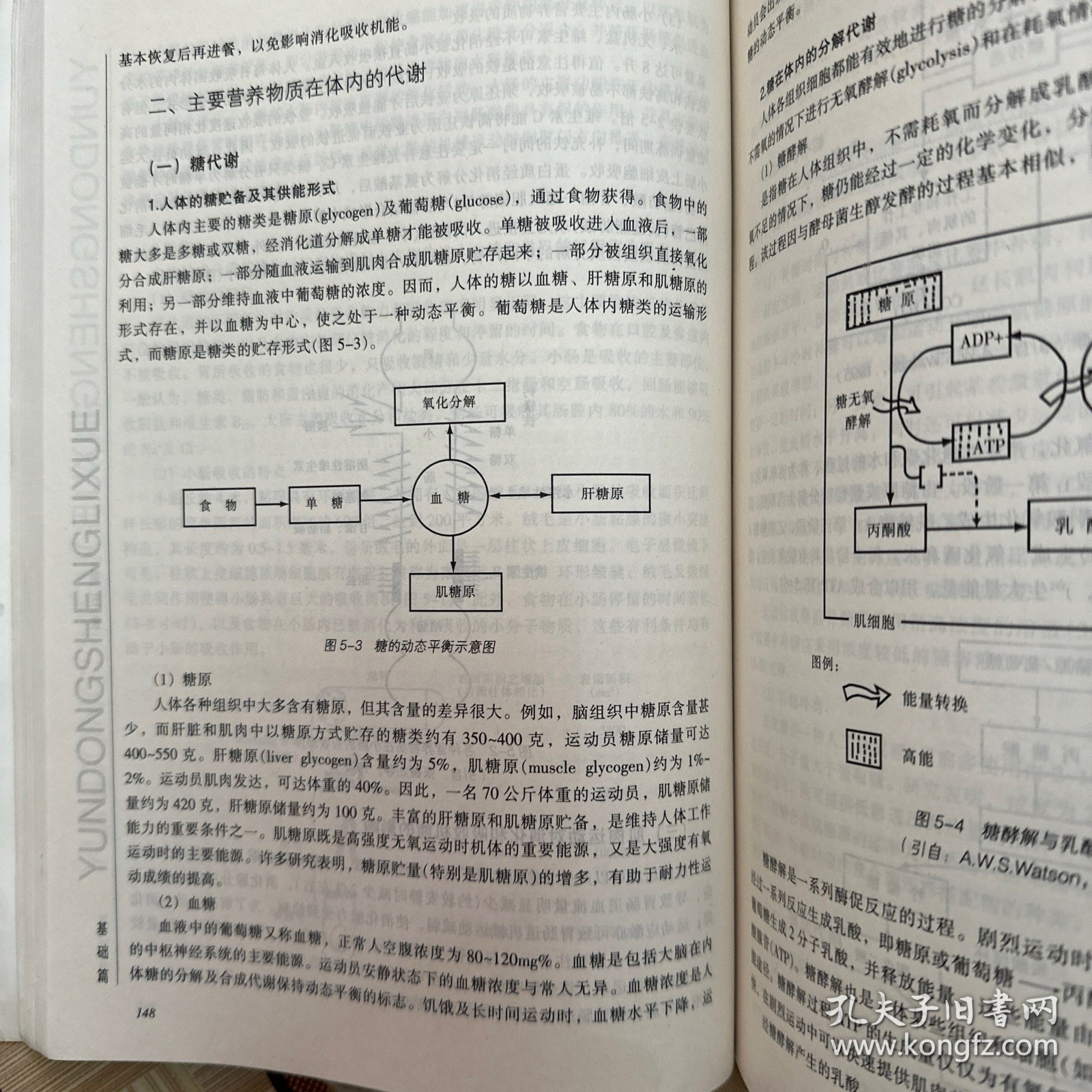 运动生理学