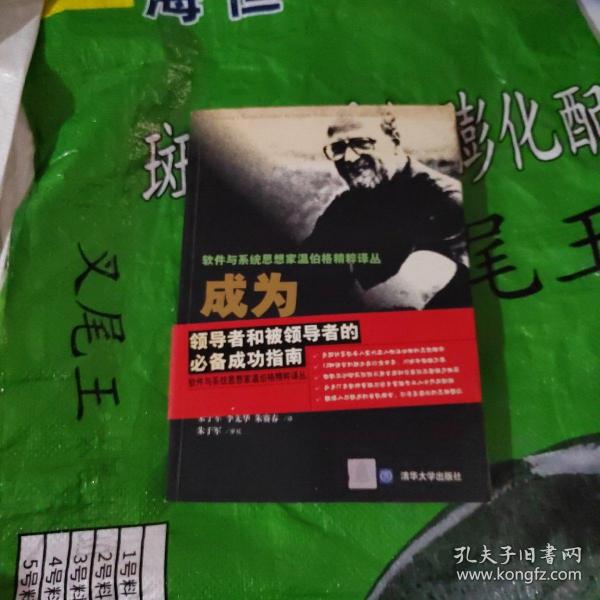 成为技术领导者：解决问题的有机方法