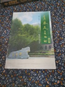青春是美丽的. 第5集
