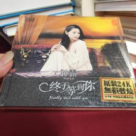 孙露（终于等到你）CD