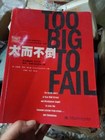 大而不倒：2010年全球政要和首席执行官争相阅读的金融危机启示录