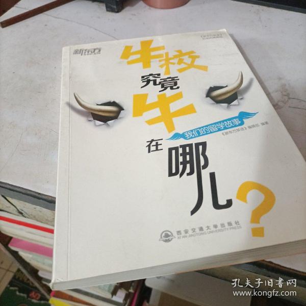 新东方·牛校究竟牛在哪儿？：我们的留学故事