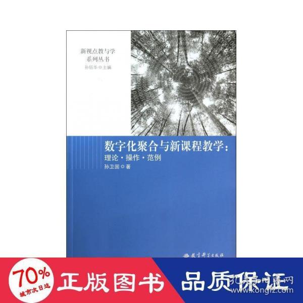 数字化聚合与新课程教学 : 理论·操作·范例