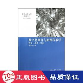 数字化聚合与新课程教学 : 理论·操作·范例