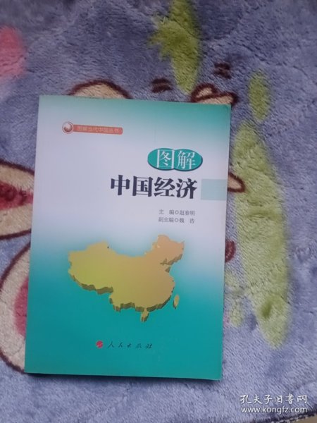 图解中国经济