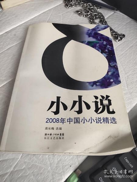 2008年中国小小说精选