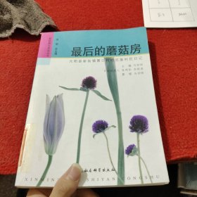 最后的蘑菇房：元阳县新街镇箐口村哈呢族村民日记