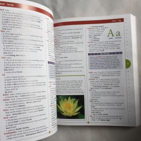 英文原版儿童字典英语教辅书 Scholastic Children's Dictionary 儿童百科  [平装]厚本 NEWLY UPDATED