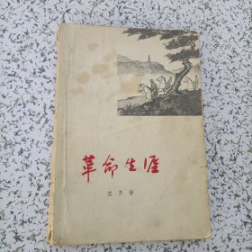 革命生涯 （左齐革命回忆录，左齐1955年被授予少将军衔）1963年一版一印