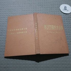 英漢雙解技術(shù)詞典
