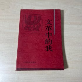 文革中的我