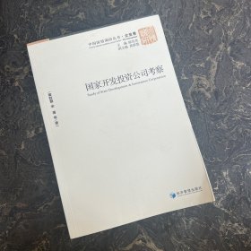 中国国情调研丛书·企业卷：国家开发投资公司考察