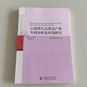 云南省八大重点产业专利分析及布局研究