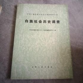 白族社会历史调查