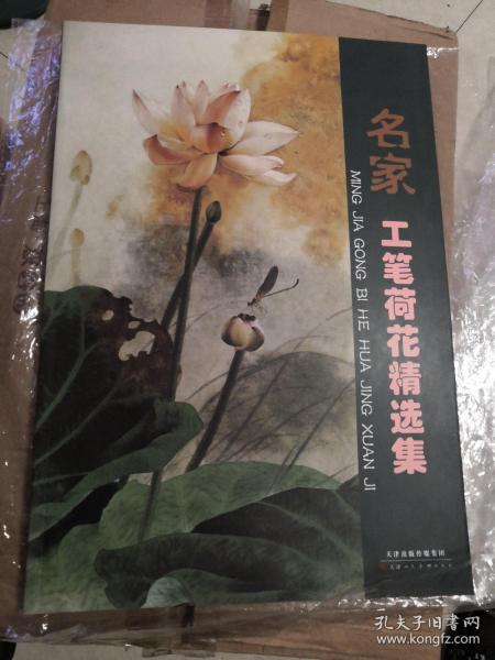 名家工笔荷花精选集