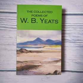 The Collected Poems of W.B.Yeats 英文原版 叶芝诗选