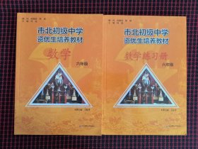 保正版！未翻阅！市北初资优生培养教材 六年级数学 +练习册（共2册合售）