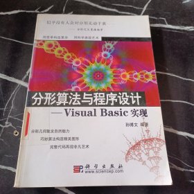 分形算法与程序设计：Visual Basic实现