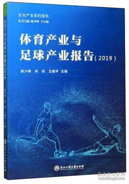 体育产业与足球产业报告(2019)/文化产业系列报告