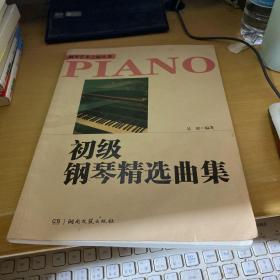 钢琴艺术之旅丛书：初级钢琴精选曲集