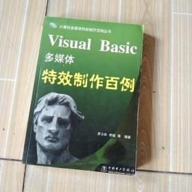 Visual Basic多媒体特效制作百例