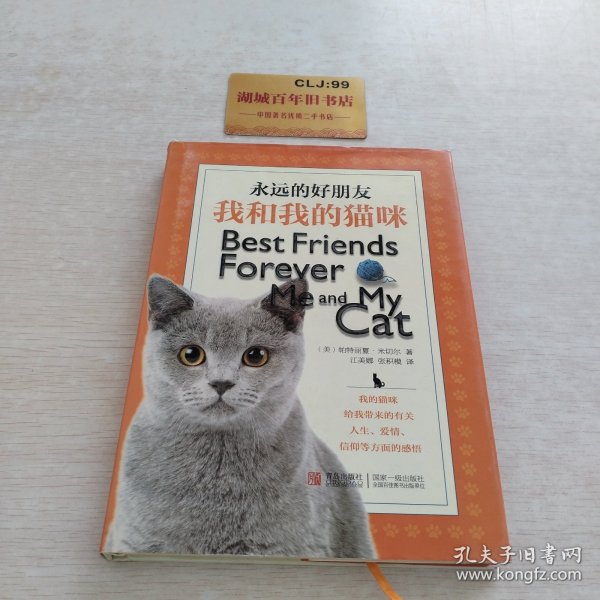 永远的好朋友：我和我的猫咪