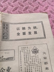 福建日报。农村版，1972年10月13日