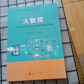 （战略性新兴产业科普丛书）大数据：数字经济时代新要素和新基建之灵魂