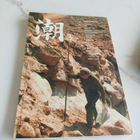 芳草潮，文学杂志