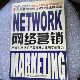 网络营销/金牌企业新实营销实战技法