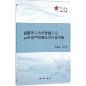 全面深化改革背景下的云南富宁县域经济社会发展