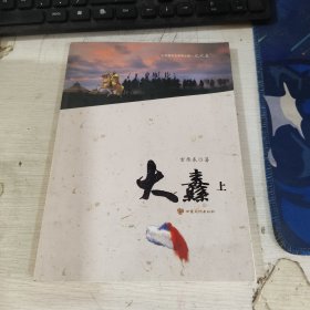 历史系列小说（元代卷） 大纛 上册