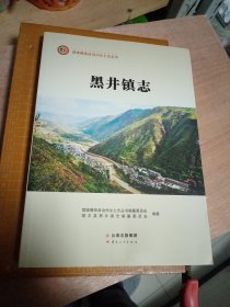 云南楚雄黑井镇志