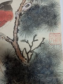 收的旧藏 田世光款手绘国画，画的很好，宣纸是自然氧化自然旧（可以和下面宣纸颜色对比）图物一致售后不退 不换，麻烦——下面有处小破损，装裱后可以密合。尺寸59乘42厘米。