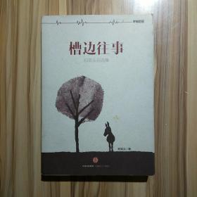 槽边往事：和菜头自选集
