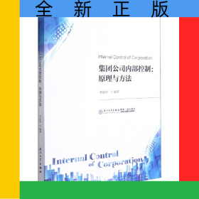 集團公司內(nèi)部控制--原理與方法