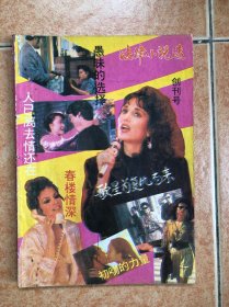 法律小说选 创刊号