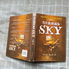 当李晓峰成为SKY