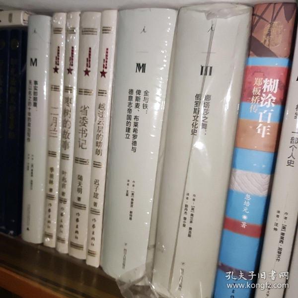 理想国译丛·金与铁： 俾斯麦、布莱希罗德与德意志帝国的建立（NO：023）