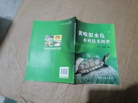 黄喉拟水龟养殖技术图谱