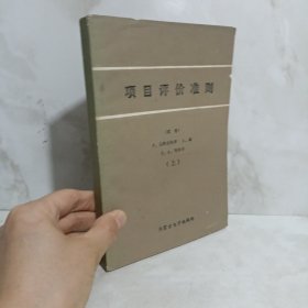 项目评价准则