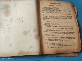 中学生字帖 （颜真卿《勤礼碑》楷书习字教范小楷字范钢笔字范）