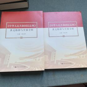 杨立新主编《中华人民共和国民法典》 条文精释与实案全析（中下）