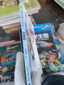 孫家棟 衛(wèi)星之父的太空夢