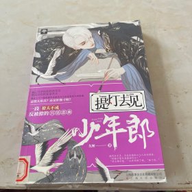 提灯去见少年郎