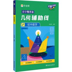 几何辅线 初中数学【正版新书】