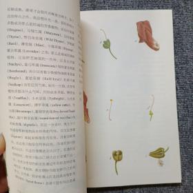 植物学通信